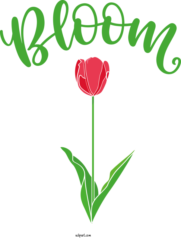 Free Nature Flower Fleur De Lis Lily For Spring Clipart Transparent Background