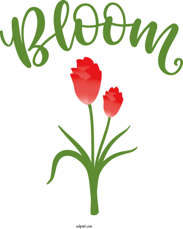 Free Nature Flower Floral Design Lily For Spring Clipart Transparent Background