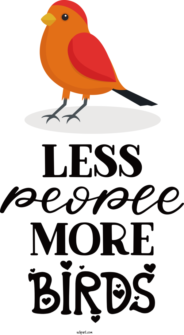 Free Animals Birds Logo Beak For Bird Clipart Transparent Background