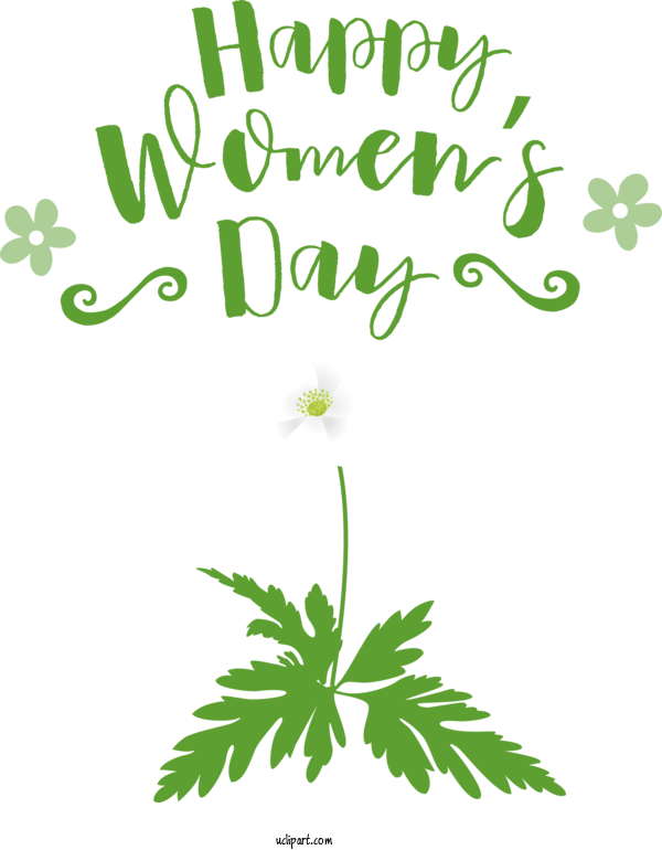 Free Holidays Plant Stem Leaf Flower For International Women's Day Clipart Transparent Background