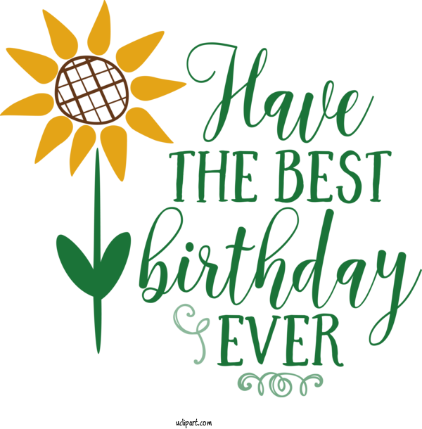 Free Occasions Cut Flowers Leaf Plant Stem For Birthday Clipart Transparent Background