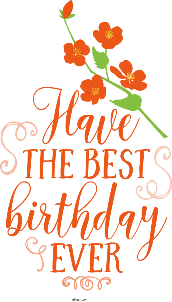 Free Occasions Floral Design Cut Flowers Petal For Birthday Clipart Transparent Background