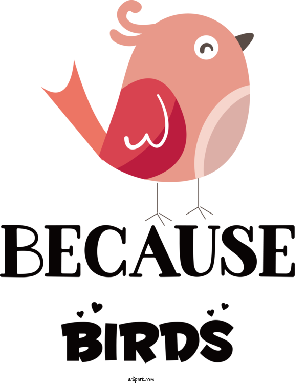 Free Animals Logo Cartoon Design For Bird Clipart Transparent Background