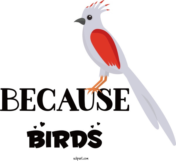 Free Animals Banco Azteca Birds For Bird Clipart Transparent Background