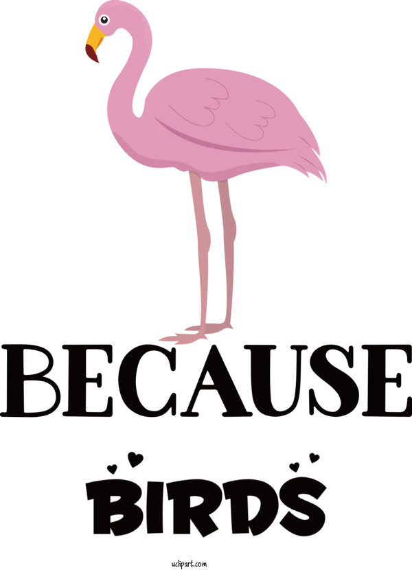 Free Animals Birds Cartoon Logo For Bird Clipart Transparent Background
