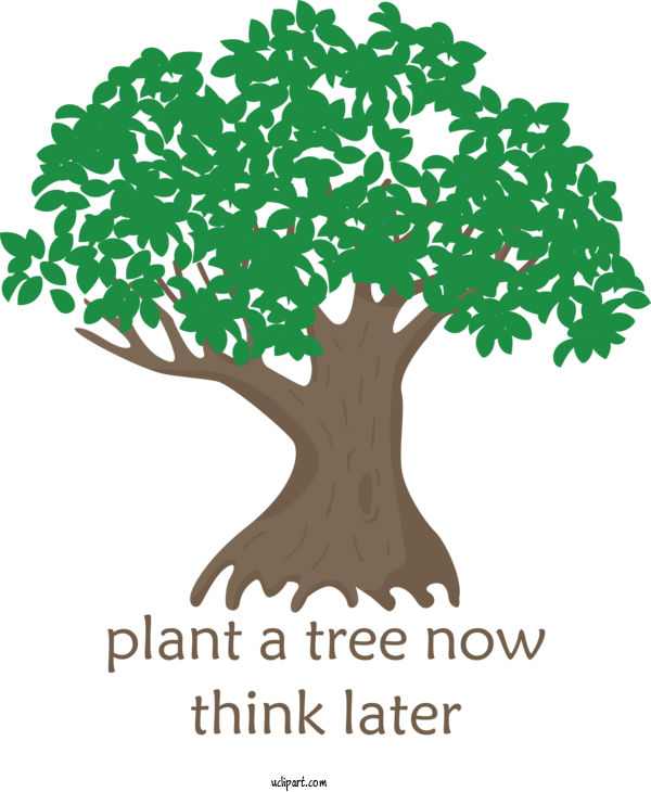 Free Holidays Tree Tree Planting Oak For Arbor Day Clipart Transparent Background