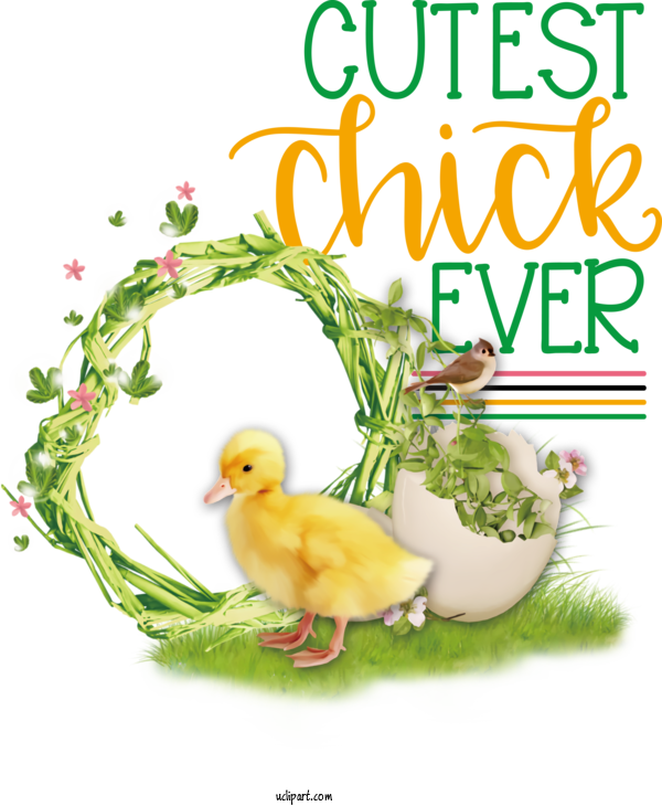 Free Holidays Duck Cartoon Swans For Easter Clipart Transparent Background