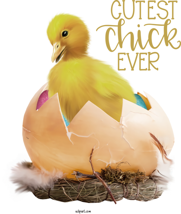 Free Holidays Balut Chicken Easter Egg For Easter Clipart Transparent Background