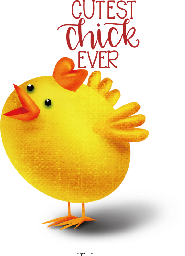 Free Holidays Chicken Broiler Duck For Easter Clipart Transparent Background