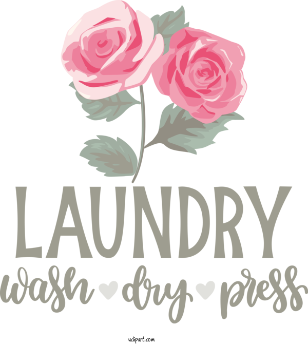 Free Clothing Floral Design Garden Roses Cabbage Rose For Laundry Clipart Transparent Background