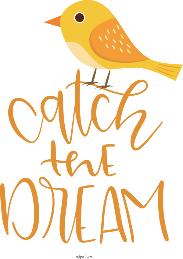 Free Life Beak Birds Logo For Dream Clipart Transparent Background