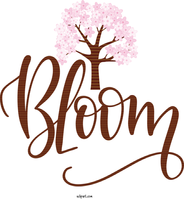 Free Flowers Icon Logo Social Media For Flower Clipart Clipart Transparent Background