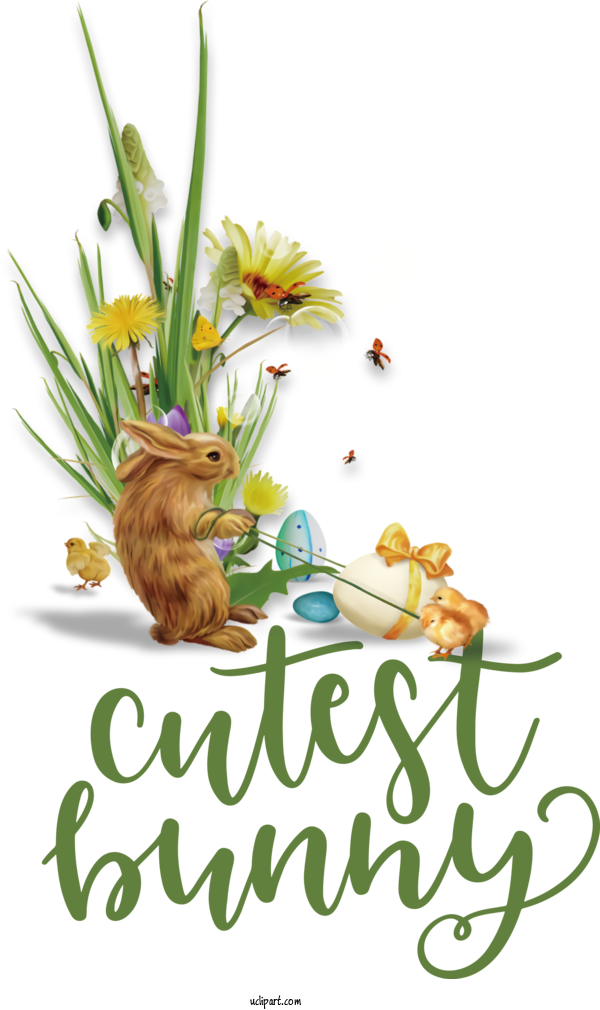 Free Holidays Cut Flowers Cat Floral Design For Easter Clipart Transparent Background