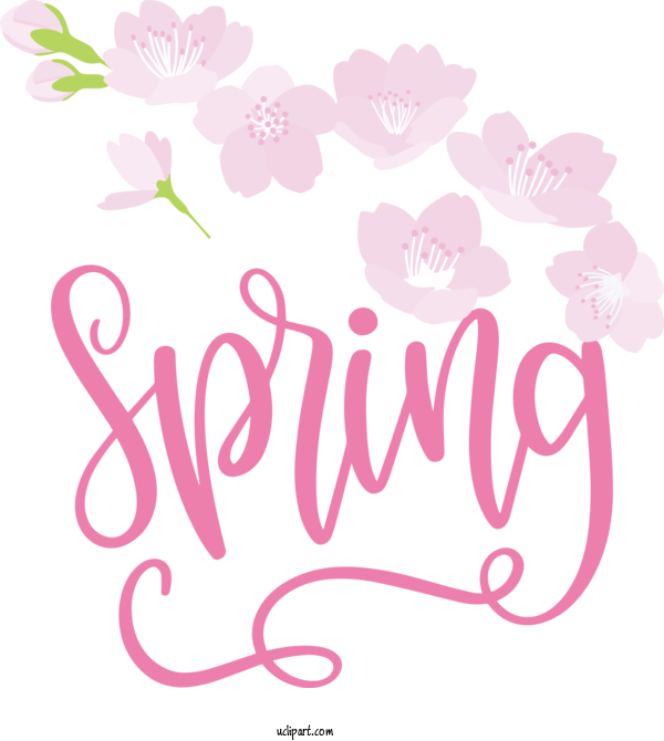 Free Nature Floral Design Design Cut Flowers For Spring Clipart Transparent Background