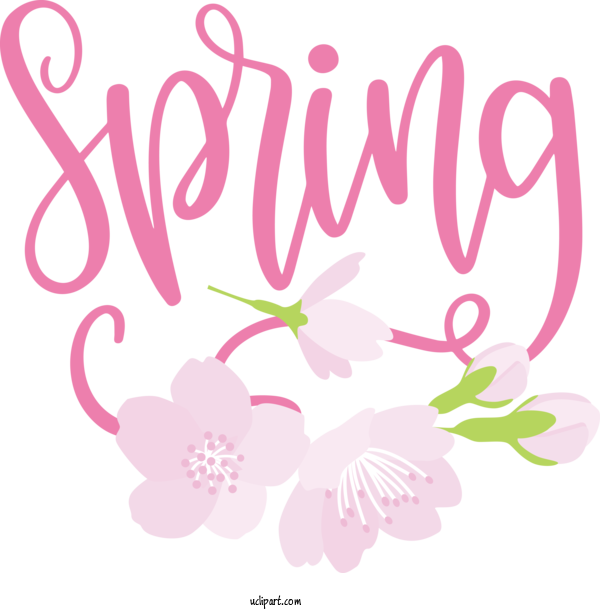 Free Nature Floral Design Cut Flowers Design For Spring Clipart Transparent Background