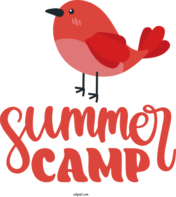 Free Activities Birds Logo Beak For Camping Clipart Transparent Background