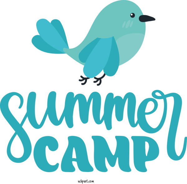 Free Activities Birds Logo Cartoon For Camping Clipart Transparent Background