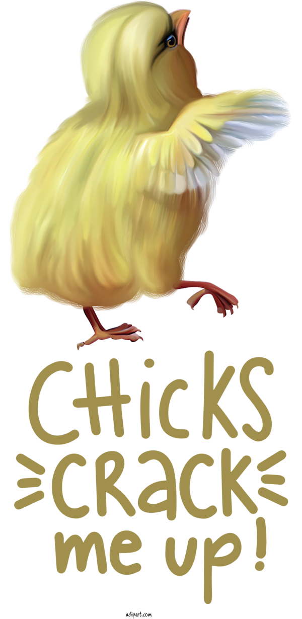 Free Holidays Birds Chicken Beak For Easter Clipart Transparent Background