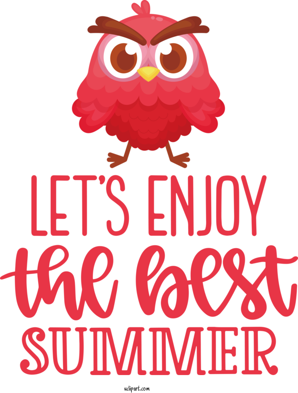 Free Nature Owls Birds Logo For Summer Clipart Transparent Background