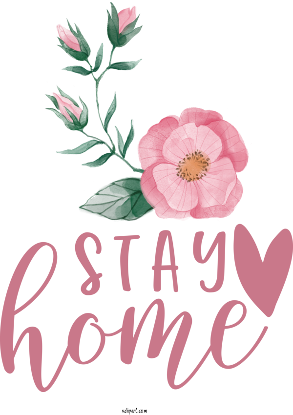 Free Icons Floral Design Herbaceous Plant Rose Family For Home Icon Clipart Transparent Background