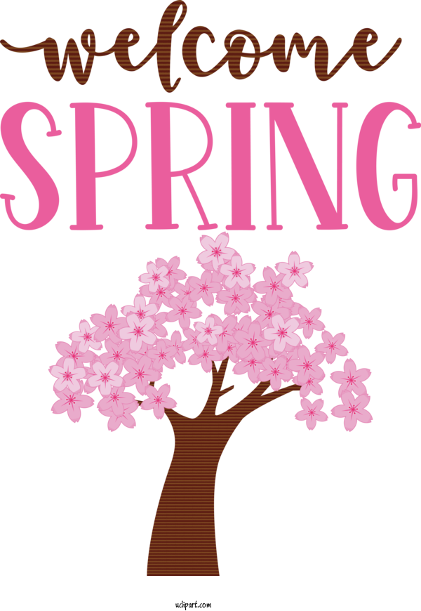 Free Nature Flower Petal Floral Design For Spring Clipart Transparent Background