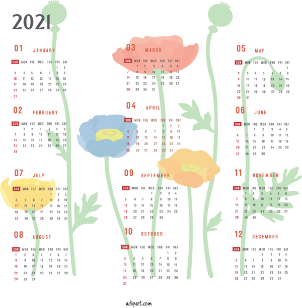 Free Life Common Poppy Design Painting For Yearly Calendar Clipart Transparent Background