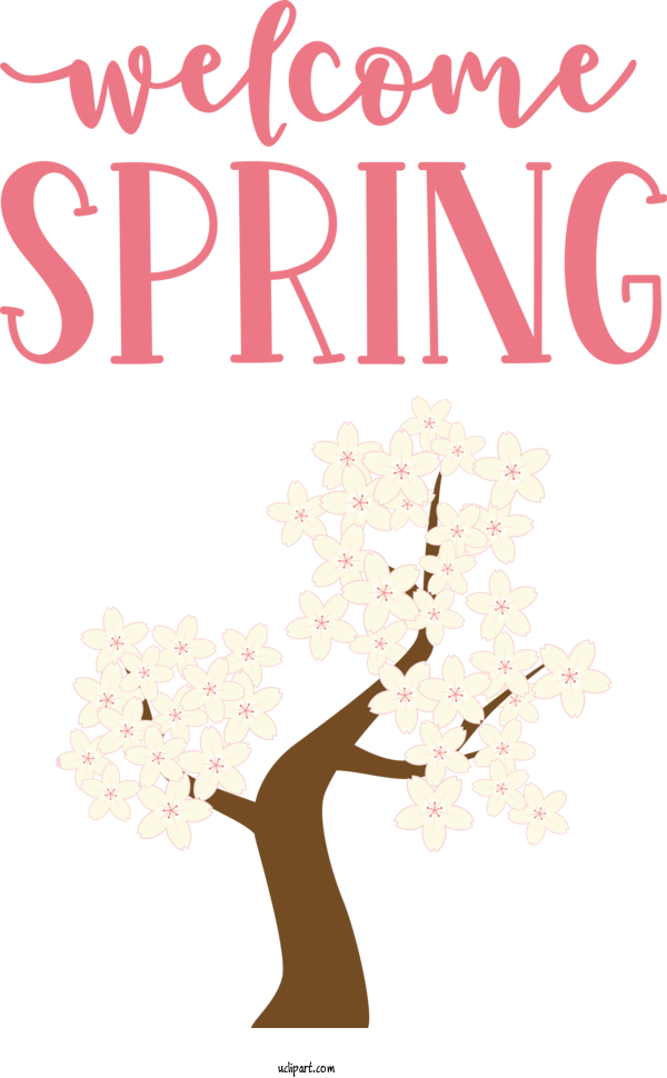 Free Nature Cherry Blossom Floral Design Petal For Spring Clipart Transparent Background