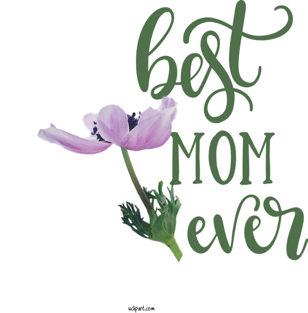 Free Holidays	 Plant Stem Cut Flowers Herbaceous Plant For Mothers Day Clipart Transparent Background