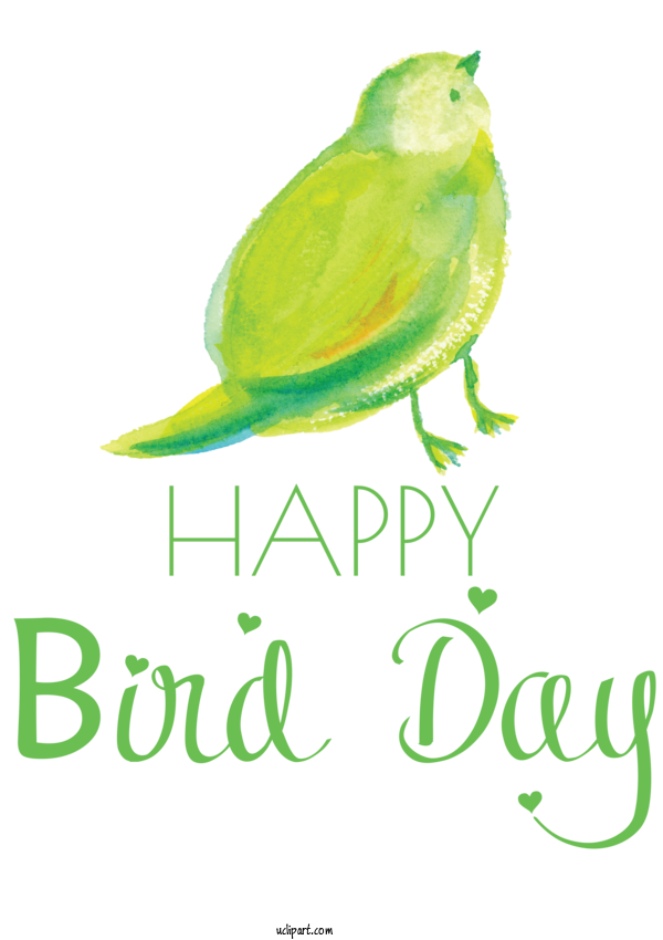 Free Holidays Parrots Parakeet Beak For International Bird Day Clipart Transparent Background