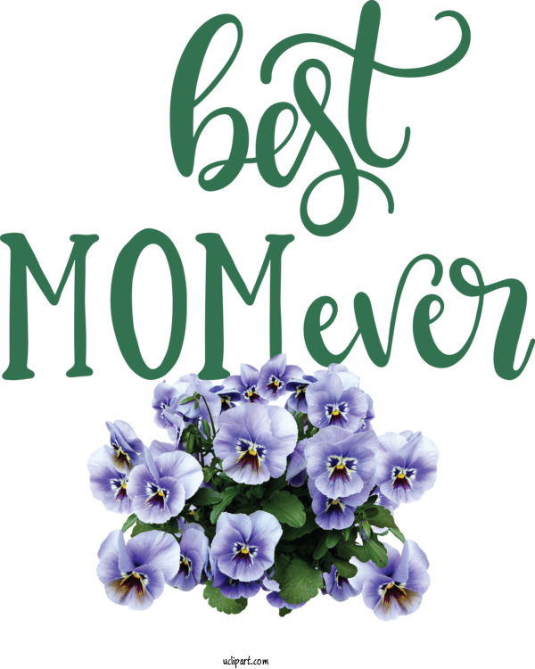 Free Holidays	 Flower Picture Frame Design For Mothers Day Clipart Transparent Background