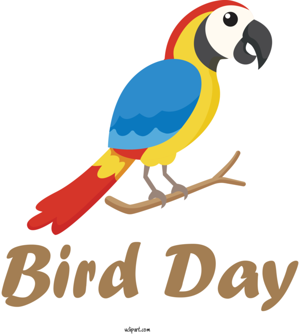 Free Holidays Birthday  Lovin' It For International Bird Day Clipart Transparent Background