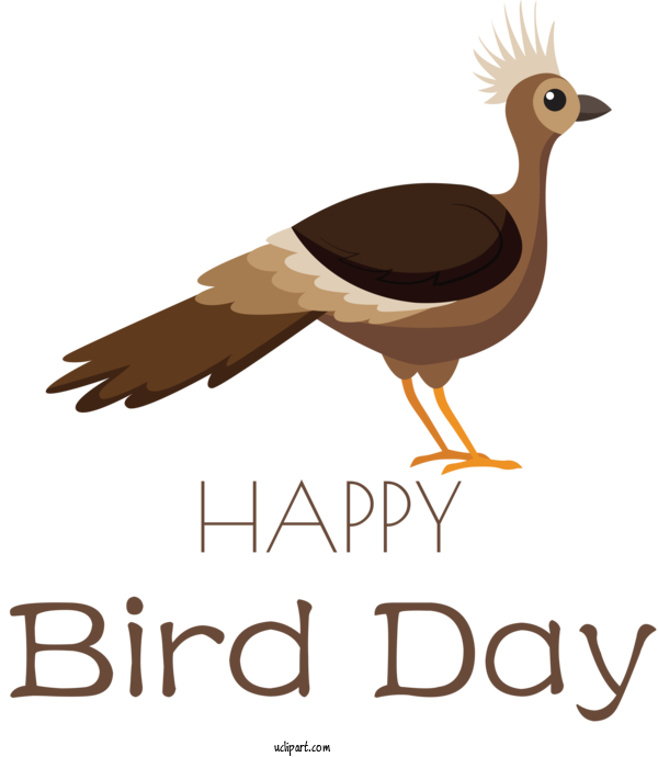 Free Holidays London Academy Of Excellence Stratford Birds Duck For International Bird Day Clipart Transparent Background