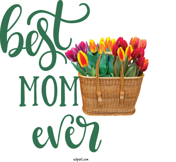 Free Holidays	 Cut Flowers Mother's Day Flower For Mothers Day Clipart Transparent Background