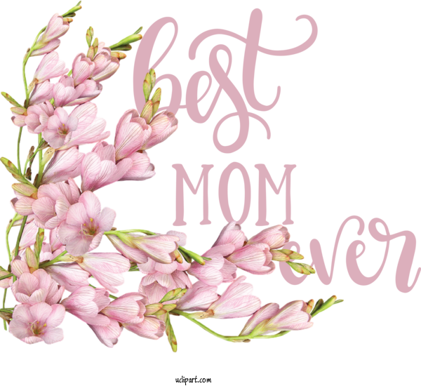 Free Holidays	 Floral Design Flower Cut Flowers For Mothers Day Clipart Transparent Background