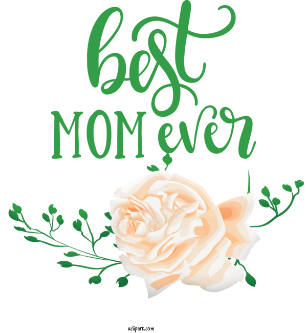 Free Holidays	 Floral Design Plant Stem Garden Roses For Mothers Day Clipart Transparent Background