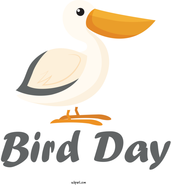 Free Holidays Birds Duck Seabird For International Bird Day Clipart Transparent Background