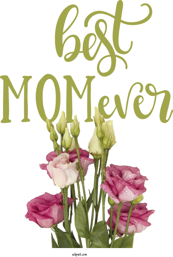 Free Holidays	 Floral Design Cut Flowers Flower For Mothers Day Clipart Transparent Background
