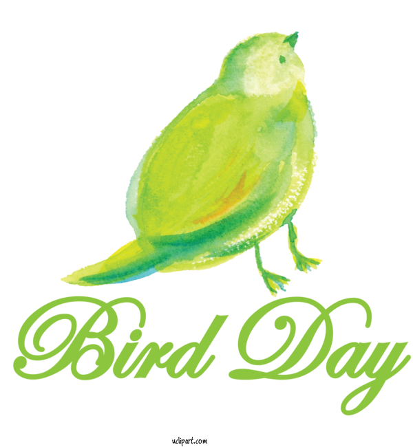 Free Holidays Birds Beak Life For International Bird Day Clipart Transparent Background