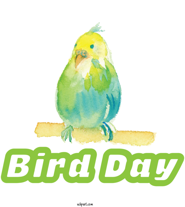 Free Holidays Birds Parrots Parakeet For International Bird Day Clipart Transparent Background