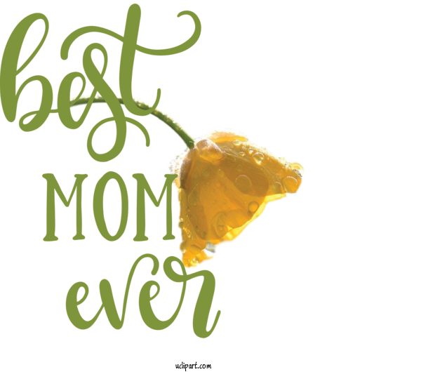 Free Holidays	 Maternal Insult Mother's Day Logo For Mothers Day Clipart Transparent Background