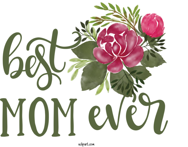 Free Holidays	 Floral Design Painting Maternal Insult For Mothers Day Clipart Transparent Background