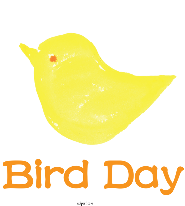 Free Holidays Birds Beak Yellow For International Bird Day Clipart Transparent Background