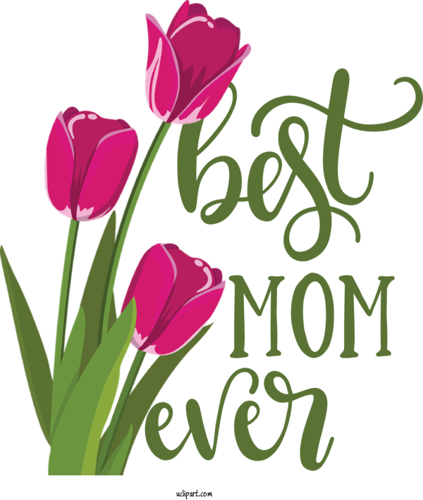 Free Holidays	 Floral Design Maternal Insult Flower For Mothers Day Clipart Transparent Background