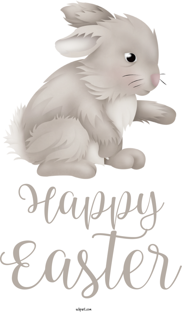 Free Holidays Hares Cat Easter Bunny For Easter Clipart Transparent Background