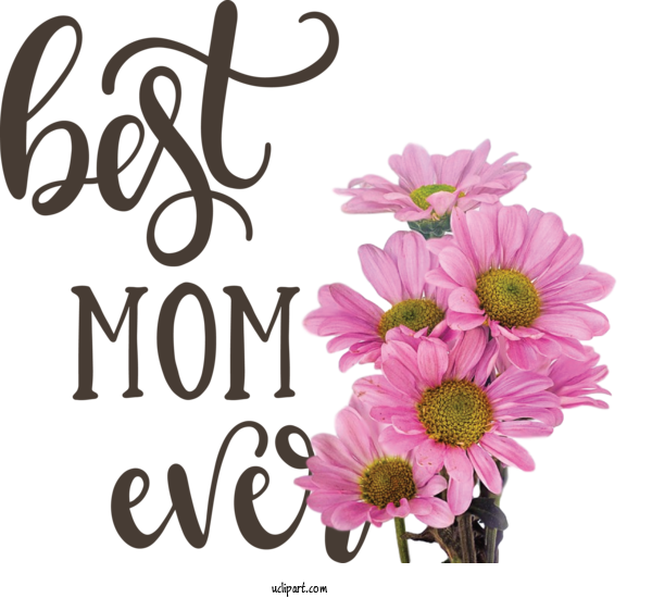 Free Holidays	 Floral Design Cut Flowers Flower For Mothers Day Clipart Transparent Background