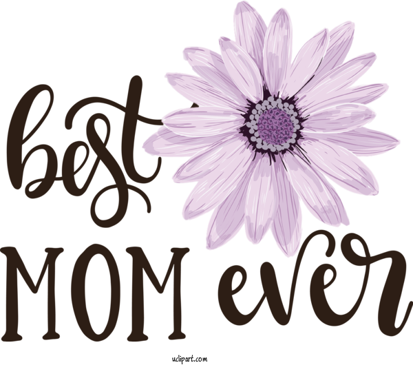 Free Holidays	 Chrysanthemum Floral Design Cut Flowers For Mothers Day Clipart Transparent Background
