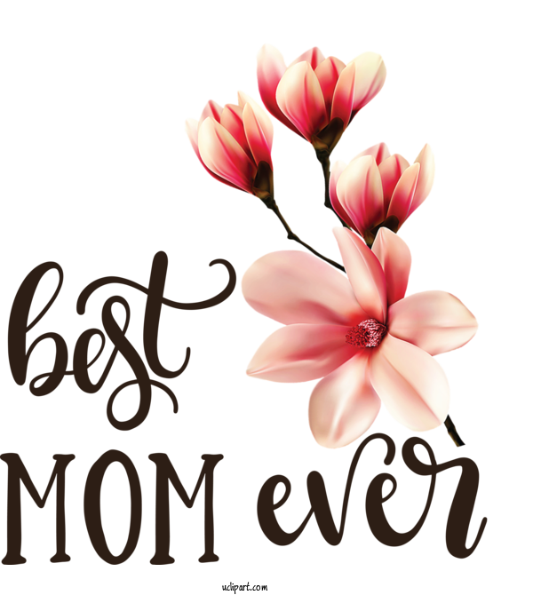 Free Holidays	 Mother's Day Floral Design For Mothers Day Clipart Transparent Background