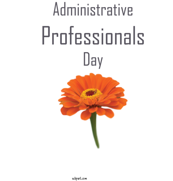 Free Holidays Transvaal Daisy Cut Flowers Pot Marigold For Admin Day Clipart Transparent Background