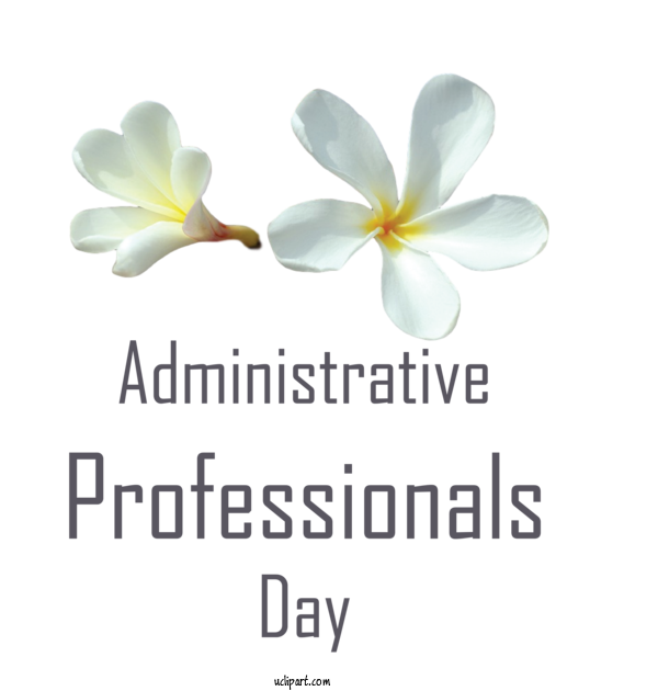 Free Holidays Cut Flowers Agency FB Font For Admin Day Clipart Transparent Background