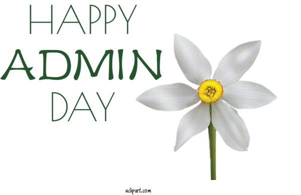 Free Holidays Daffodil Cut Flowers Petal For Admin Day Clipart Transparent Background